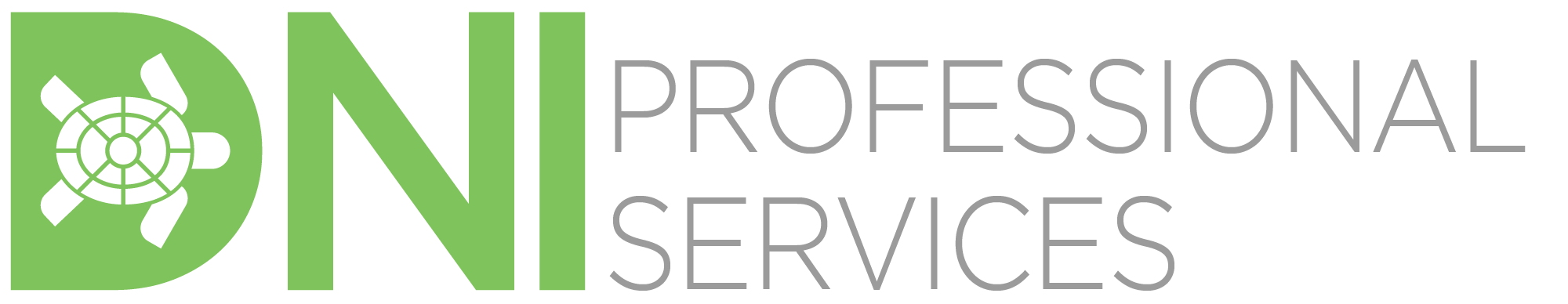 DNI Professional Services